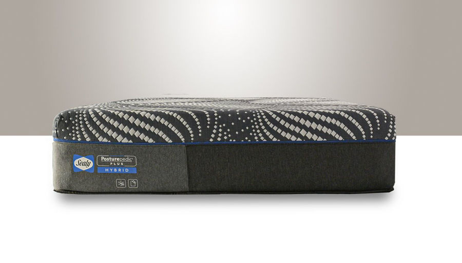 Picture of High Point Firm Queen Mattress Only